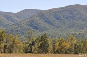 Entering Cades Cove