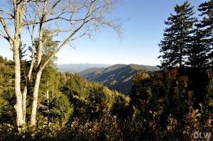 Mountain View from Newfound Gap